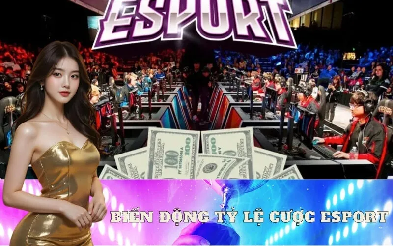 Biến Động Tỷ Lệ Cược Esport: 2025 Chiến Thuật Cược Thông Minh