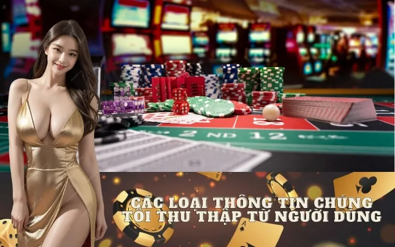 Các Loại Thông Tin Chúng Tôi Thu Thập Từ Người Dùng