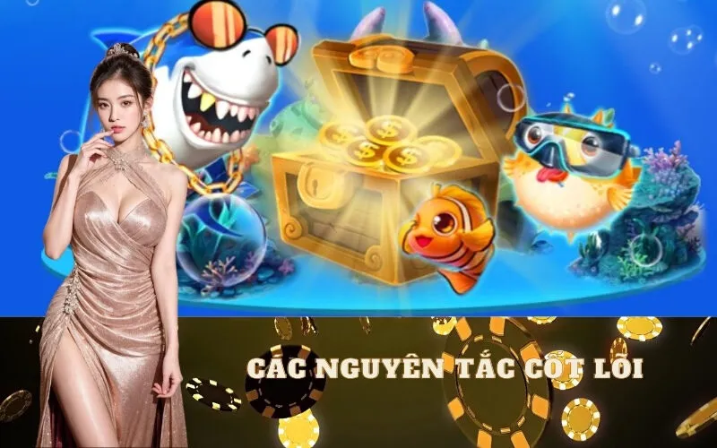 Các nguyên tắc cốt lõi