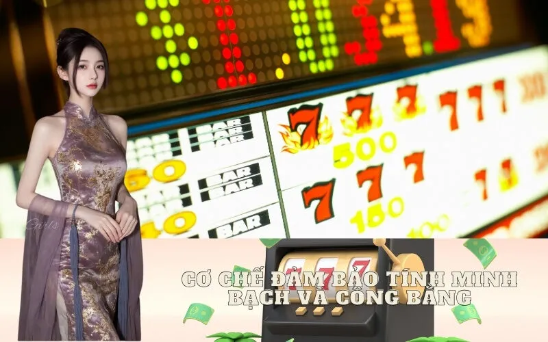 Cơ Chế Đảm Bảo Tính Minh Bạch và Công Bằng