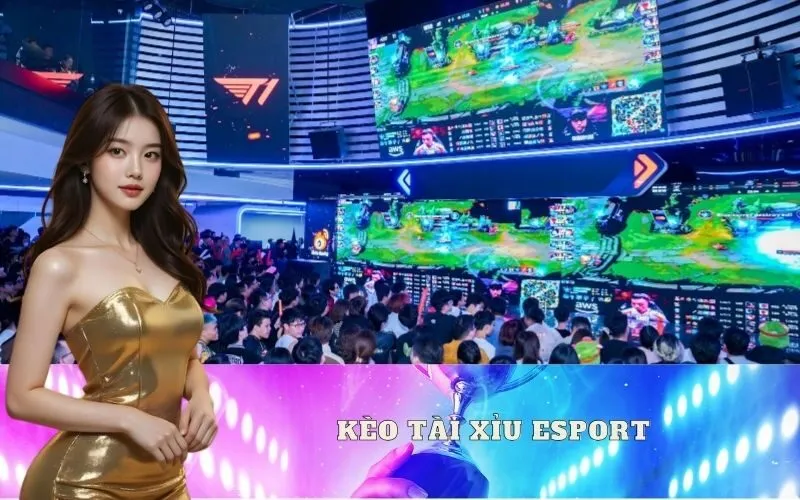 Kèo Tài Xỉu Esport: Hướng dẫn cách chơi và ví dụ dễ hiểu